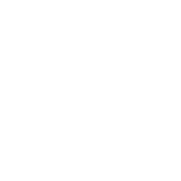 Dexscreener owl